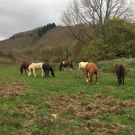 Le Hameau De Sylvanes Eksteriør billede
