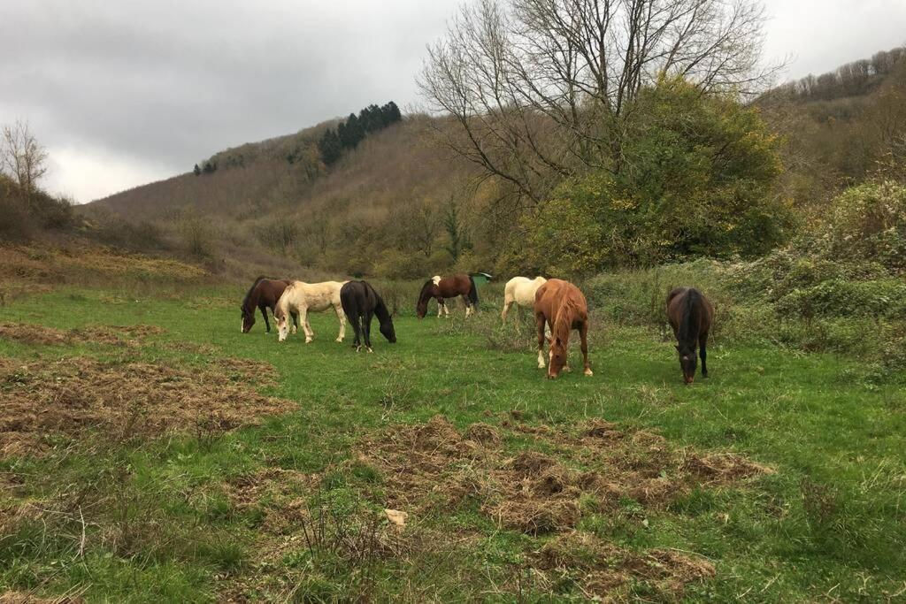 Le Hameau De Sylvanes Eksteriør billede